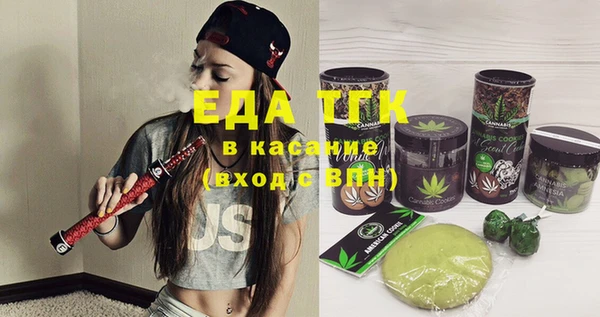 тгк Медногорск