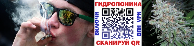 Купить закладки  Шадринск  Бошки марихуана MAZAR 